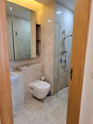 Soleil @ Sinaran (D11), Condominium #614662801